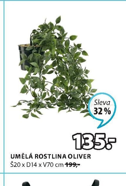 UMĚLÁ ROSTLINA OLIVER