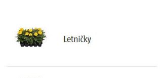 Letničky