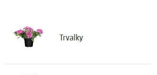 Trvalky