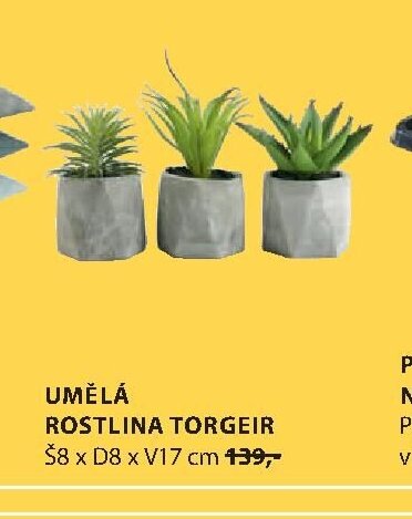 UMĚLÁ ROSTLINA TORGEIR