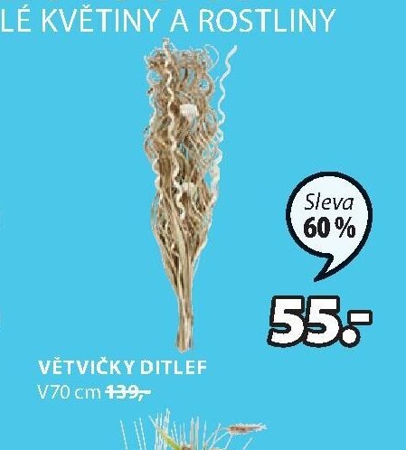 Větvičky DITLEF