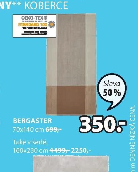 BERGASTER