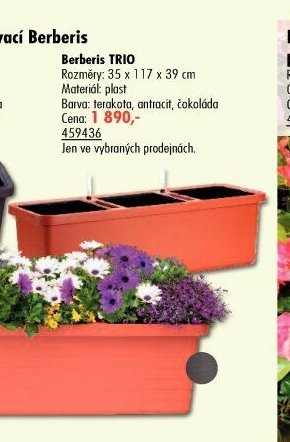 Truhlík samozavlažovací Berberis TRIO