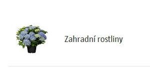 Zahradní rostliny