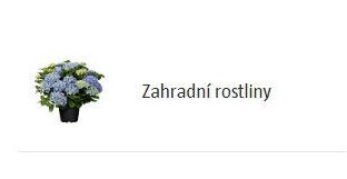 Zahradní rostliny