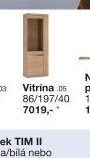 Vitrína