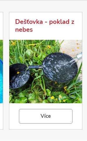 Dešťovka - poklad z nebes
