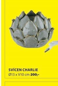 SVÍCEN CHARLIE