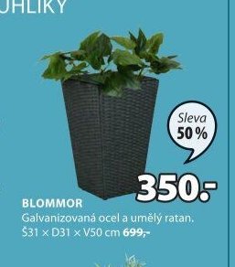 BLOMMOR