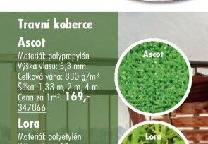 Travní koberce Ascot