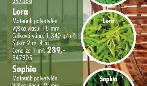 Travní koberce Lora