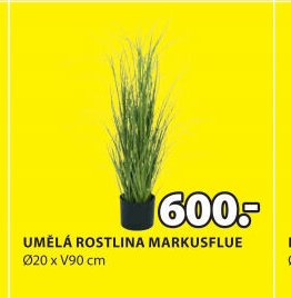 UMĚLÁ ROSTLINA MARKUSFLUE