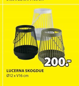 LUCERNA SKOGDUE