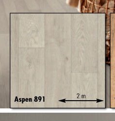 Aspen 891