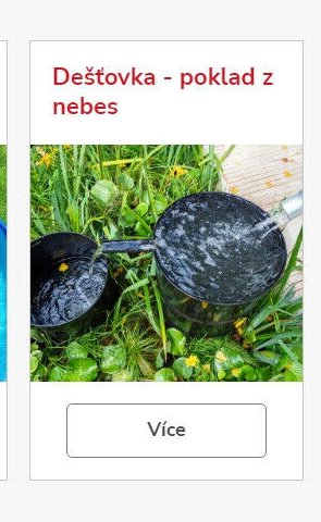 Dešťovka - poklad z nebes