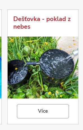 Dešťovka - poklad z nebes