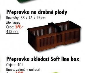 Přepravka na drobné plody