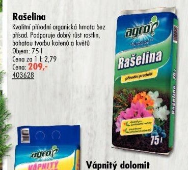 Rašelina