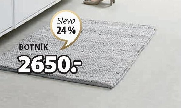 BOTNÍK IDSKOV