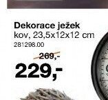 Dekorace ježek