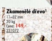 Zkamenělé dřevo
