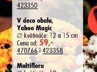 V deco obalu, Yahoo Magic