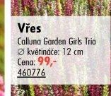Vřes