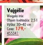 Vajgélie