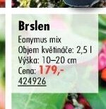 Brslen