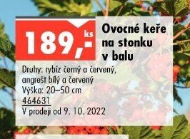 Ovocné keře na stonku v balu