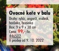 Ovocné keře v balu