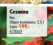 Cesmína
