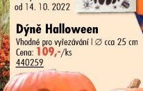 Dýně Halloween