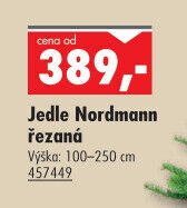 Jedle Nordmann řezaná