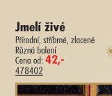 Jmelí živé