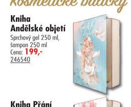 Kniha Andělské objetí