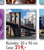 Obrazy na skle (30 x 90 cm)