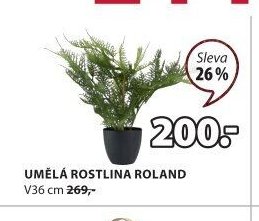 UMĚLÁ ROSTLINA ROLAND