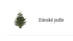 Dánské jedle
