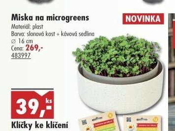 Miska na microgreens