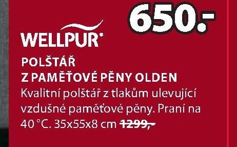 WELLPUR POLŠTÁŘ Z PAMĚŤOVÉ PĚNY OLDEN