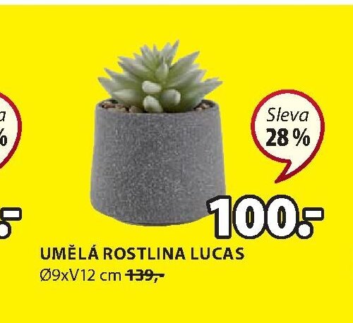 UMĚLÁ ROSTLINA LUCAS