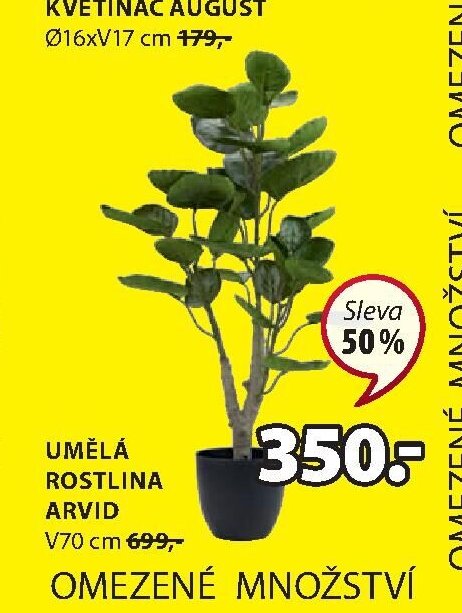 UMĚLÁ ROSTLINA ARVID