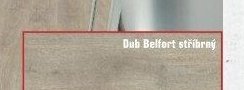 Dub Belfort stříbrný