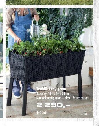 Truhlík Easy grow
