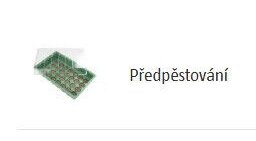Předpěstování