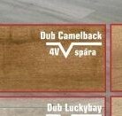Dub Camelback