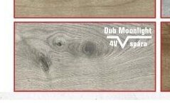 Dub Moonlight