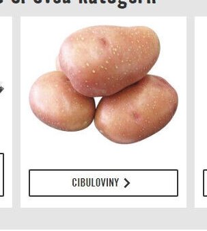 Cibuloviny