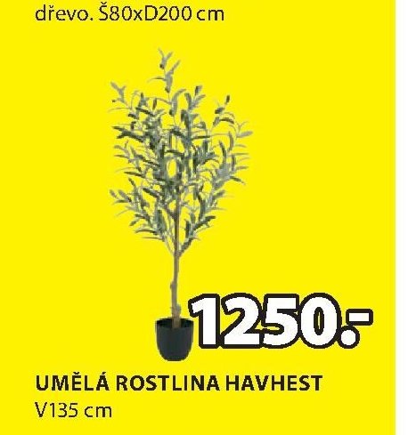 UMĚLÁ ROSTLINA HAVHEST